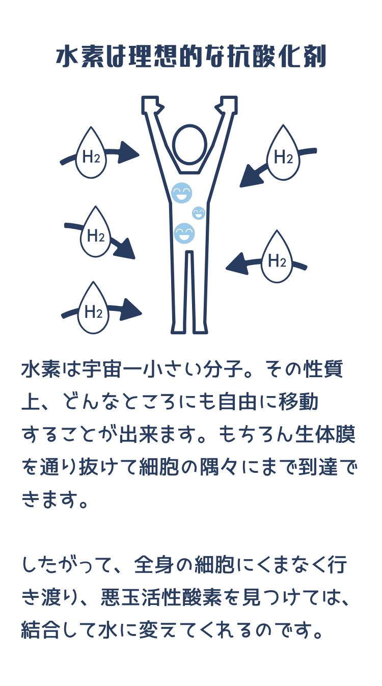 水素は理想的な抗酸化剤 水素は宇宙一小さい分子。その性質上、どんなところにも自由に移動することが出来ます。もちろん生体膜を通り抜けて細胞の隅々にまで到達できます。したがって、全身の細胞にくまなく行き渡り、悪玉活性酸素を見つけては、結合して水に変えてくれるのです。