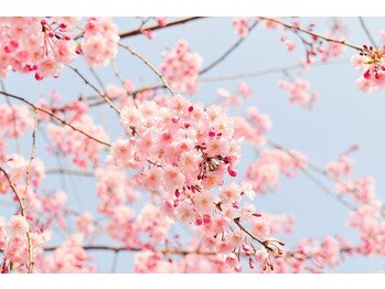 新生活に水素のチカラをの画像