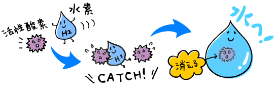 水素＋酸素の効果の画像