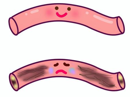 血管をアンチエイジングして健康寿命・美容寿命の延伸を目指しましょう！の画像