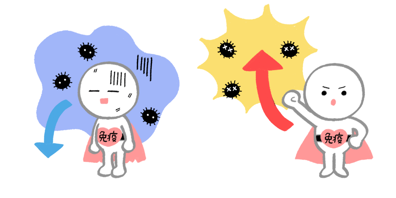 水素で免疫力強化の画像