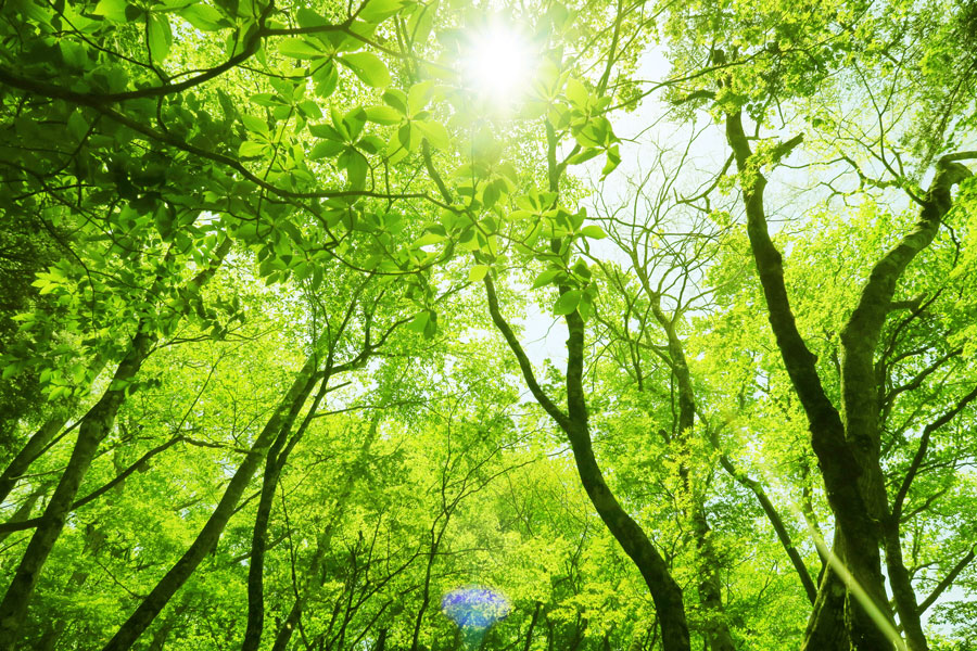 春の訪れと共に☆の画像