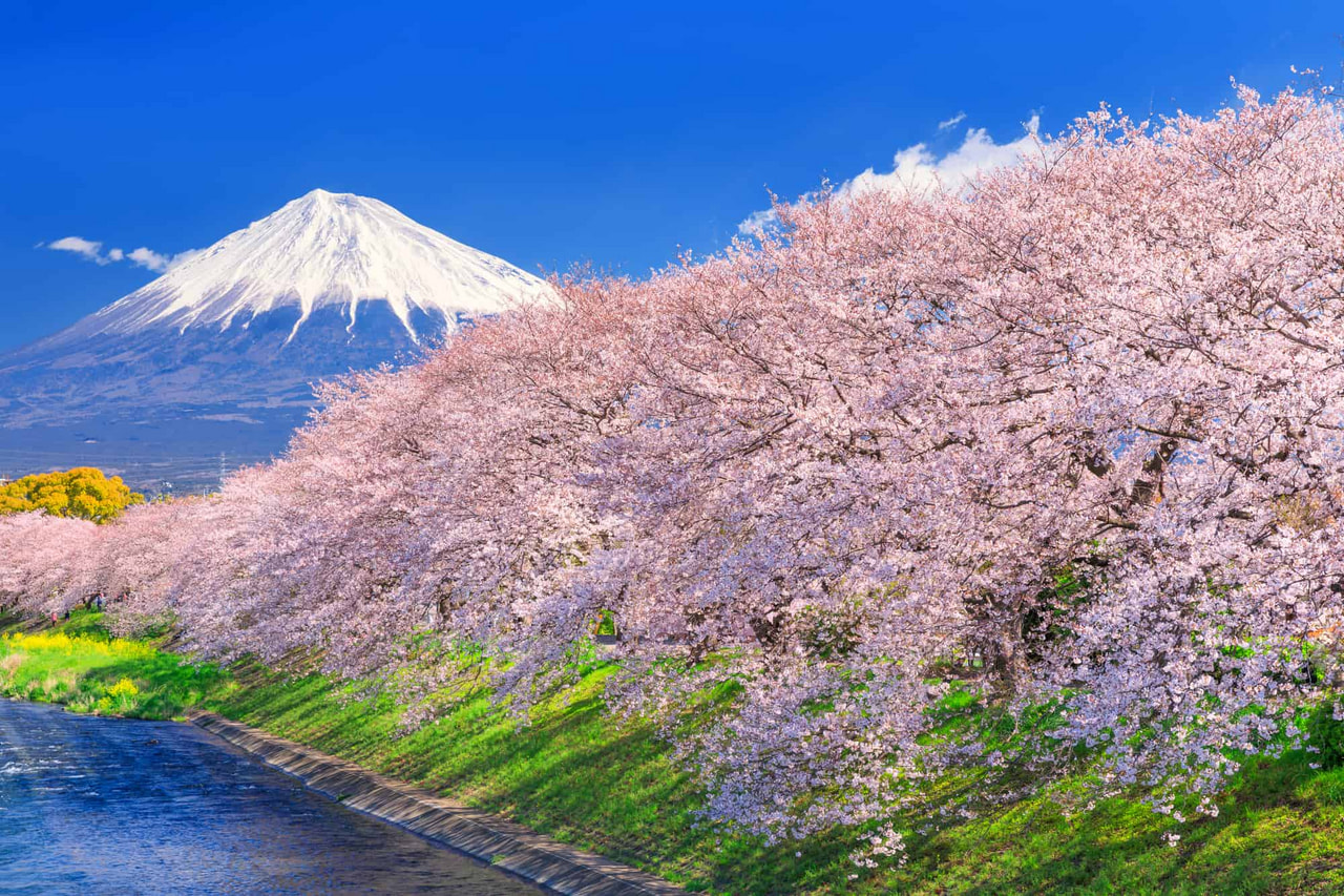 定期的なメンテナンス♪の画像